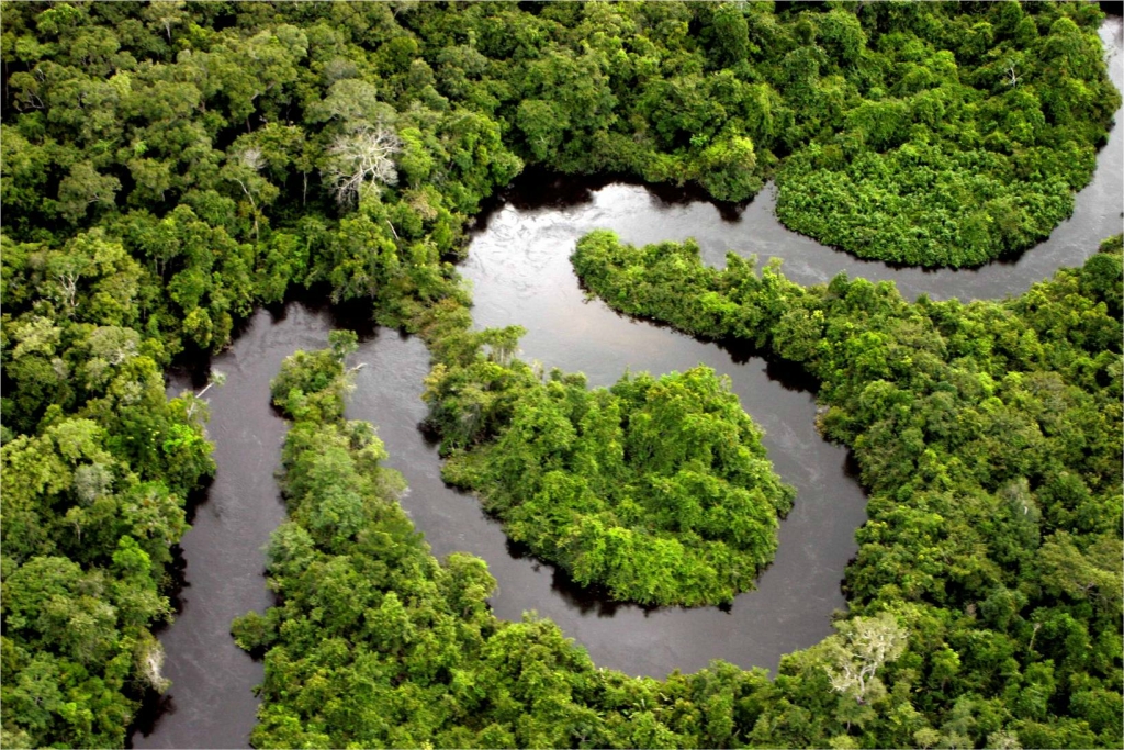 Амазонка и амазонские джунгли 