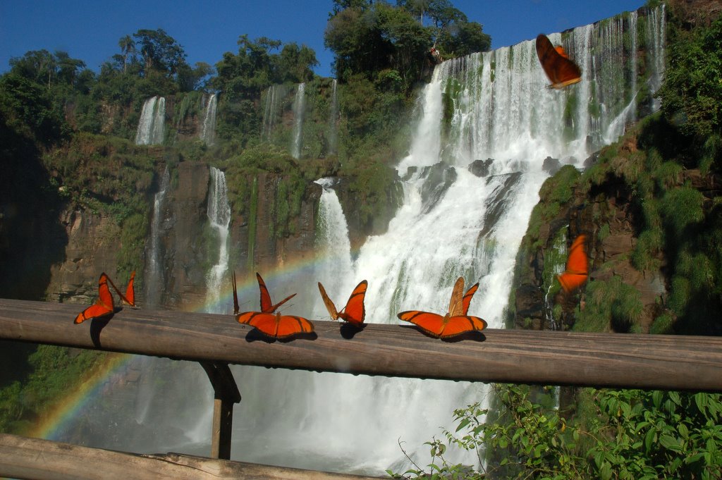 Водопады Игуасу, Аргентина 