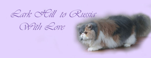 Lark Hill To Russia With Love