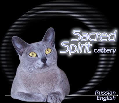 Sacred Spirit Cattery
